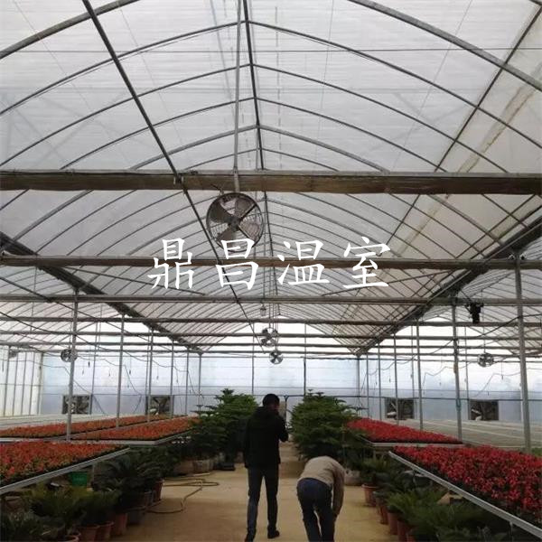 點軍花卉基地