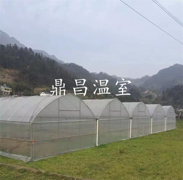 連體薄膜溫室