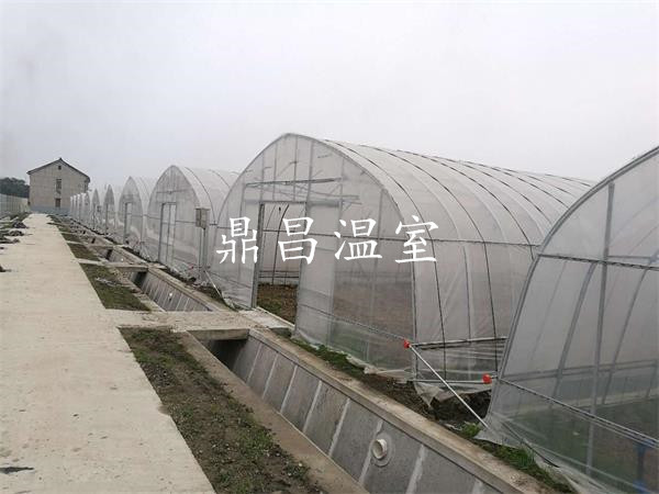 單體蔬菜大棚