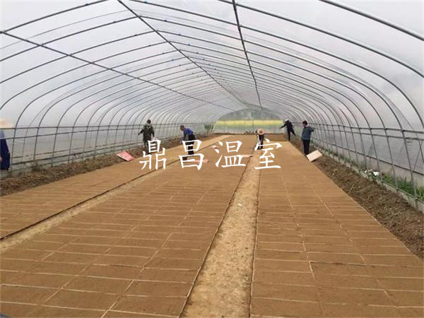 8米單體大棚