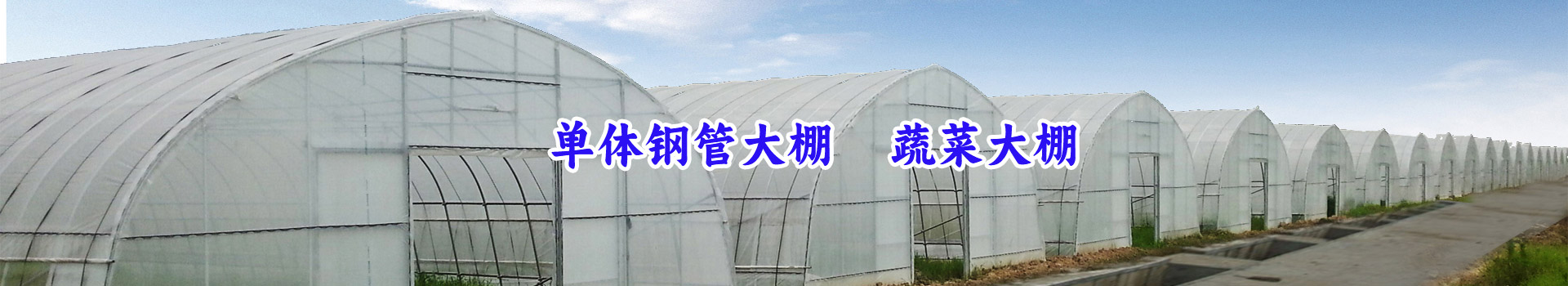 溫室大棚
