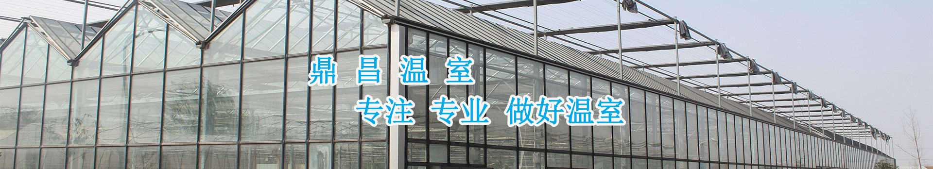 連棟大棚