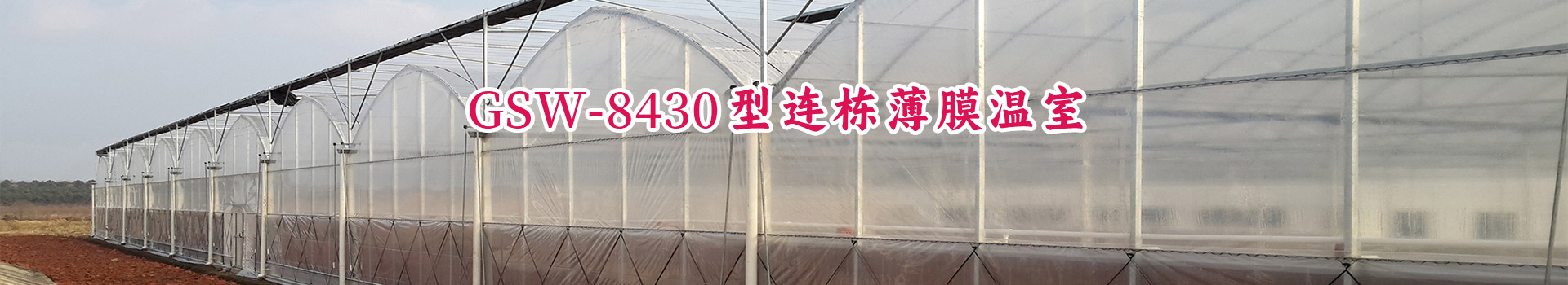 種植大棚