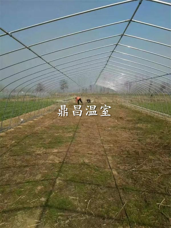 簡易花卉大棚1
