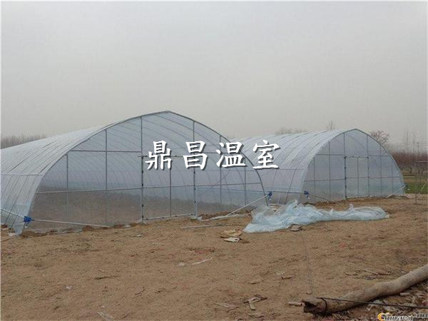 簡易育苗大棚1