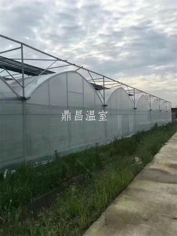 連棟智能溫室