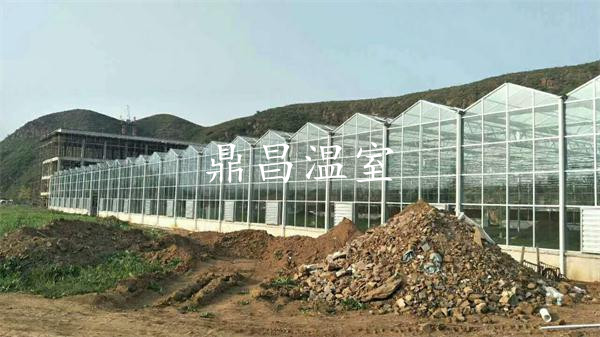連棟玻璃溫室