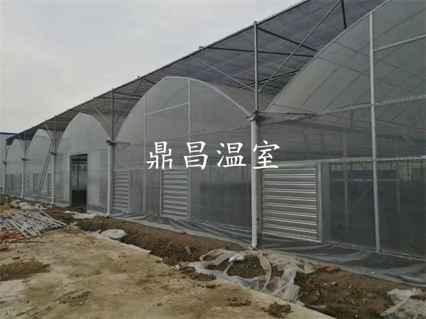 智能連體溫室