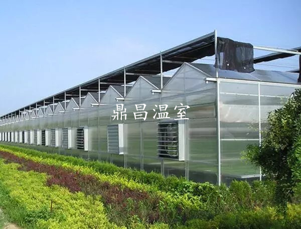 陽光板溫室大棚