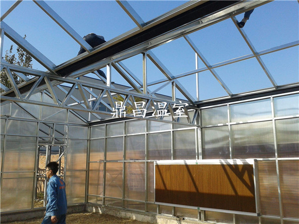 陽光板溫室大棚建設(shè)