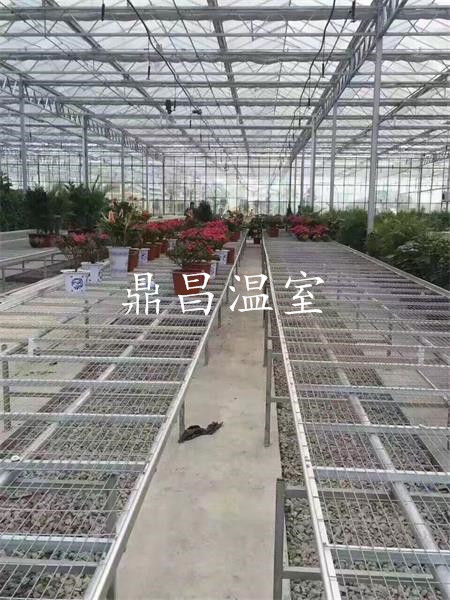 育苗溫室大棚4