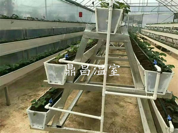 無土栽培