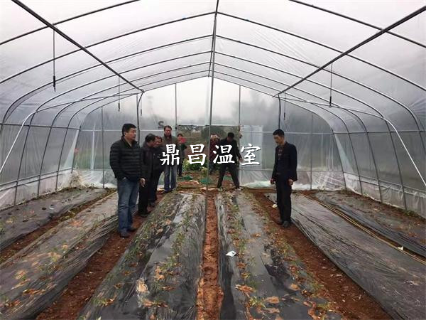 如何調(diào)節(jié)溫室大棚的濕度