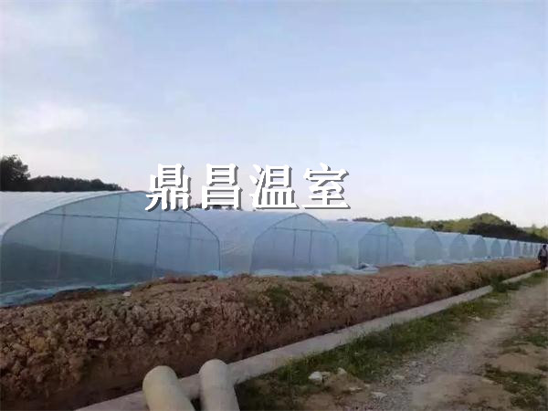 建造宜昌種植大棚有哪些需要注意的問題