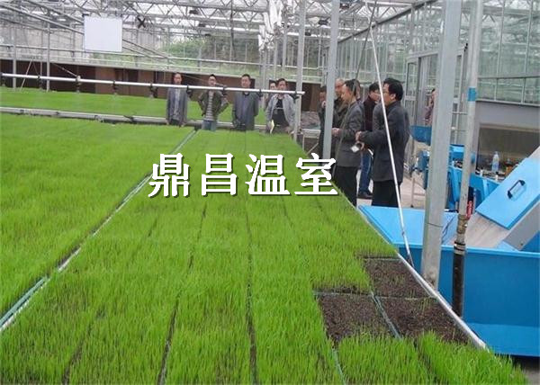 建造宜昌種植大棚需要注意的幾個問題
